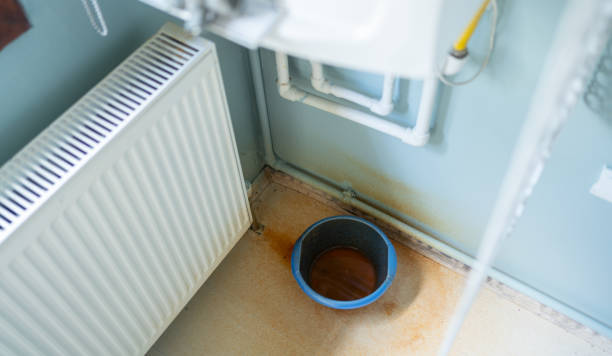 Best Professional water damage repair  in Laymantown, VA