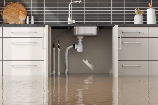 Reliable Laymantown, VA Water damage restoration Solutions